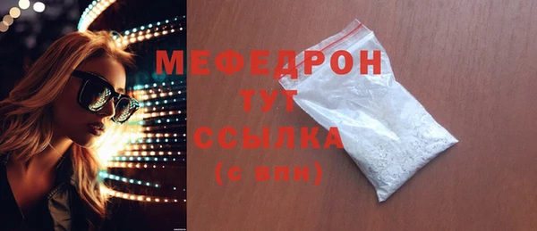 индика Бронницы