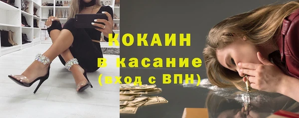 индика Бронницы