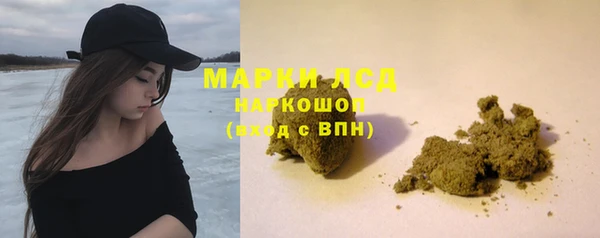 индика Бронницы