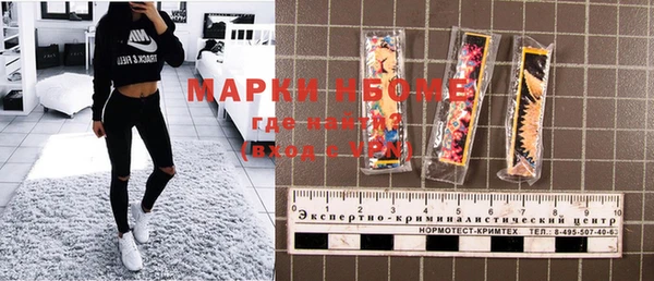 индика Бронницы