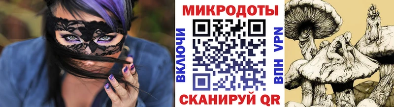 Галлюциногенные грибы Psilocybe Кашин