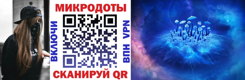 Псилоцибиновые грибы Psilocybe  Купить  Кашин 